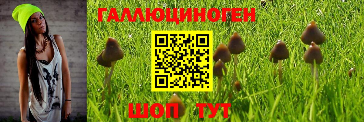 закладка  Галлюциногенные грибы Cubensis  Вход с VPN  Свободный 